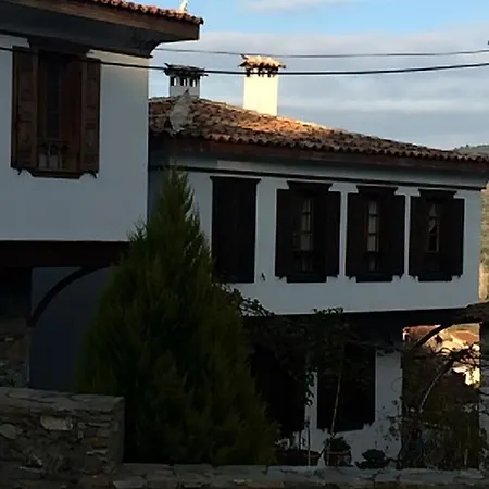 Efes Konaklari Мини-отель 4*