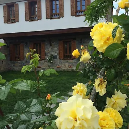 Efes Konaklari Inn Selçuk