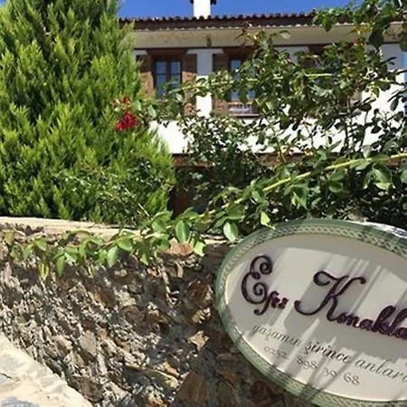 Inn Efes Konaklari 4*