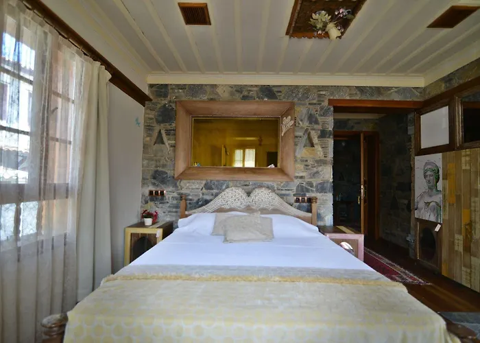 Efes Konaklari אורחן