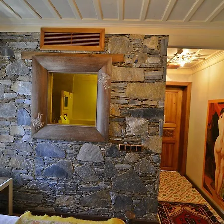 宾馆 Efes Konaklari