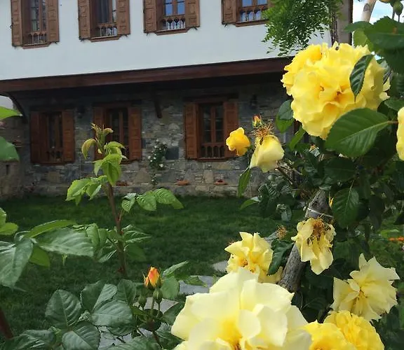 Efes Konaklari Herberg Selçuk